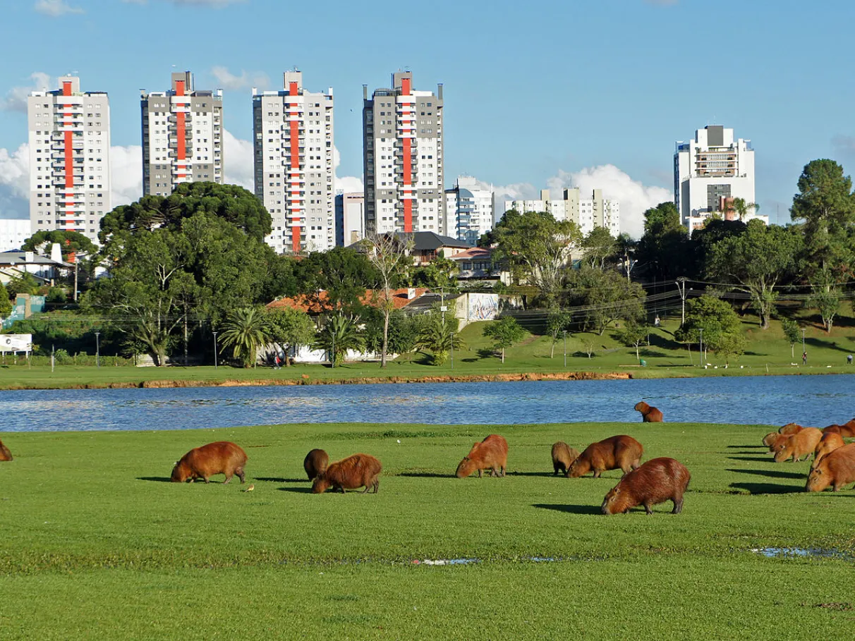 Parque Barigui